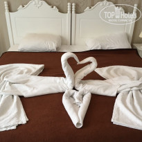 фото из отзыва ID 2092541