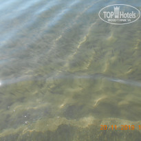 фото из отзыва ID 2092513