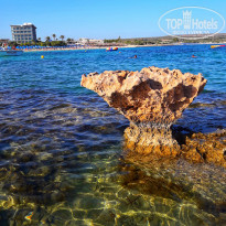 фото из отзыва ID 2092622