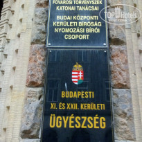 фото из отзыва ID 2091980