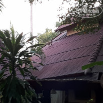 фото из отзыва ID 2092678