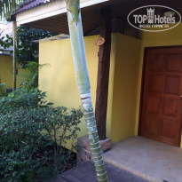 фото из отзыва ID 2092678