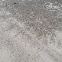 фото из отзыва ID 2092678