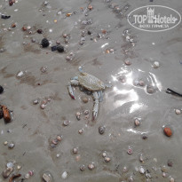 фото из отзыва ID 2092678