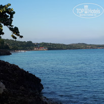 фото из отзыва ID 2092681