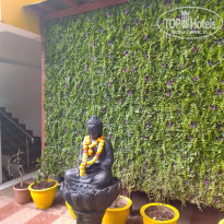 фото из отзыва ID 2092693