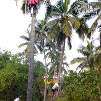 фото из отзыва ID 2092693