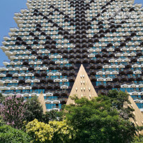 фото из отзыва ID 2092690