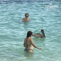 фото из отзыва ID 2092711