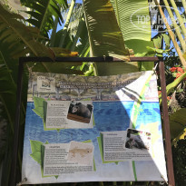 фото из отзыва ID 2092711