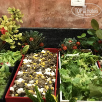 фото из отзыва ID 2092711