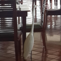 фото из отзыва ID 2092768