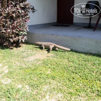 фото из отзыва ID 2092905