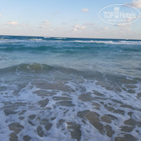 фото из отзыва ID 2092978