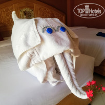 фото из отзыва ID 2093013