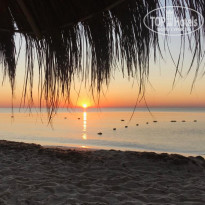 фото из отзыва ID 2093064