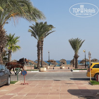 фото из отзыва ID 2093064