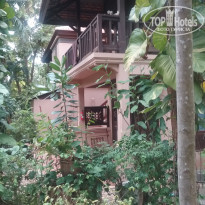 фото из отзыва ID 2093170