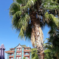 фото из отзыва ID 2093296