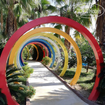 фото из отзыва ID 2093296