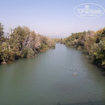 фото из отзыва ID 2093352