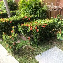 фото из отзыва ID 2093372