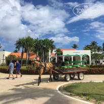 фото из отзыва ID 2093443