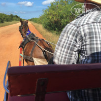 фото из отзыва ID 2093443