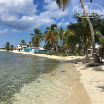 фото из отзыва ID 2093443