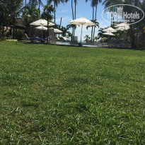 фото из отзыва ID 2093420