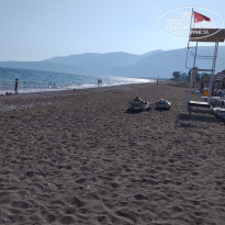 фото из отзыва ID 2093461