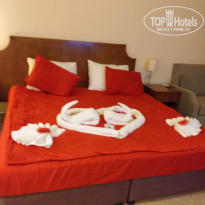 фото из отзыва ID 2093461