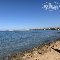 фото из отзыва ID 2093483