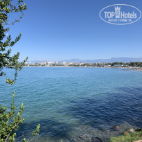 фото из отзыва ID 2093483