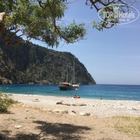 фото из отзыва ID 2093515