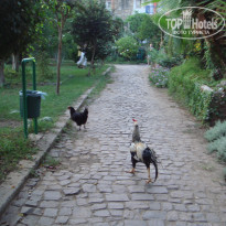 фото из отзыва ID 2093555