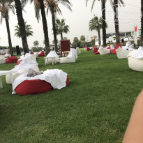 фото из отзыва ID 2093595