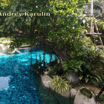 фото из отзыва ID 2093703