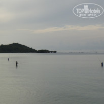 фото из отзыва ID 2093719