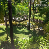 фото из отзыва ID 2093826