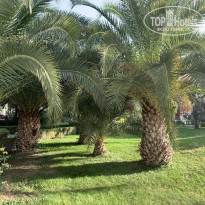 фото из отзыва ID 2093847