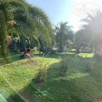 фото из отзыва ID 2093847