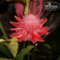 фото из отзыва ID 2093775