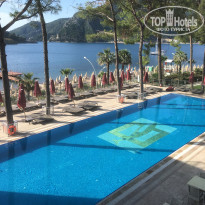 фото из отзыва ID 2094055