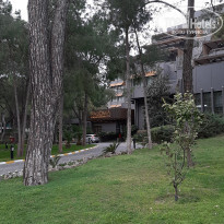 фото из отзыва ID 2093699