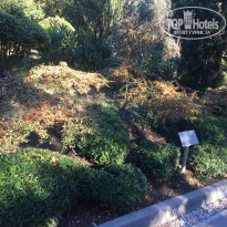 фото из отзыва ID 2094170