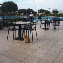 фото из отзыва ID 2094227