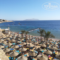 фото из отзыва ID 2094272