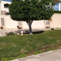 фото из отзыва ID 2094272