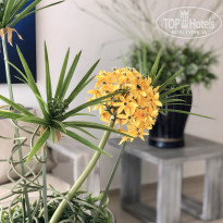 фото из отзыва ID 2094325